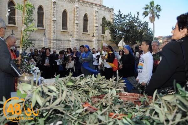 masrira latinyafa (7).JPG